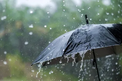 കേരളത്തിൽ അടുത്ത 7 ദിവസം വ്യാപക മഴയ്ക്ക് സാധ്യത