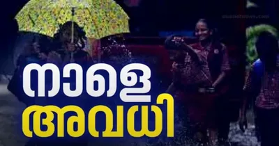 കനത്ത മഴ  രണ്ട് ജില്ലകളിൽ പ്രൊഫഷണൽ കോളേജുകൾ ഉൾപ്പെടെ എല്ലാ വിദ്യാഭാസ സ്ഥാപനങ്ങൾക്ക് നാളെ അവധി