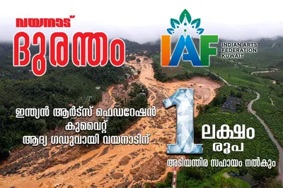 വയനാട് ദുരന്തത്തിൽ ഇന്ത്യൻ ആർട്ട്‌ ഫെഡറേഷൻ അനുശോചിച്ചു  