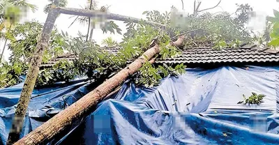 മിന്നൽ ചുഴലി  നെടുമ്പാശ്ശേരിയിൽ വ്യാപക നാശം